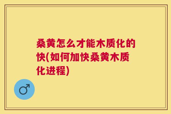 桑黄怎么才能木质化的快(如何加快桑黄木质化进程)