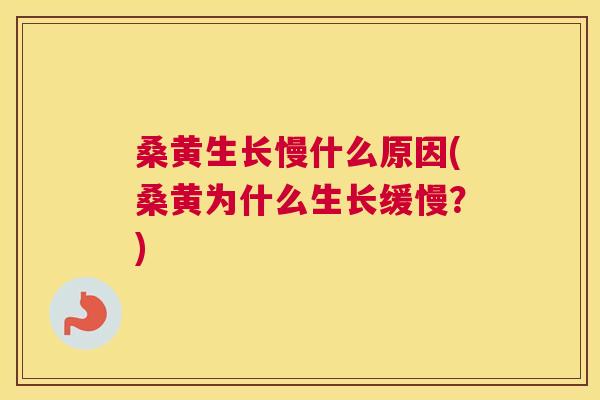 桑黄生长慢什么原因(桑黄为什么生长缓慢？)