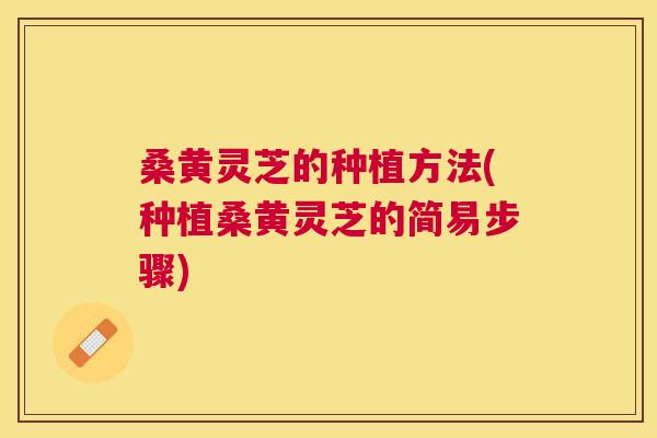 桑黄灵芝的种植方法(种植桑黄灵芝的简易步骤)