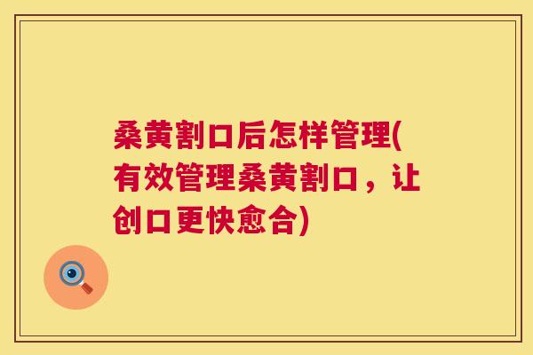 桑黄割口后怎样管理(有效管理桑黄割口，让创口更快愈合)