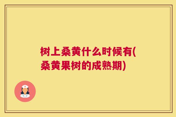 树上桑黄什么时候有(桑黄果树的成熟期)