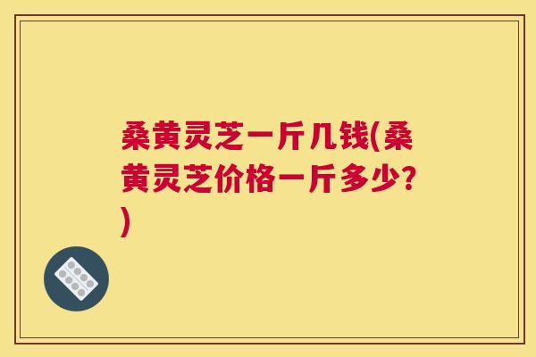 桑黄灵芝一斤几钱(桑黄灵芝价格一斤多少？)