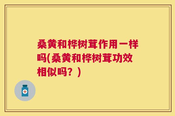 桑黄和桦树茸作用一样吗(桑黄和桦树茸功效相似吗？)