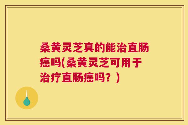 桑黄灵芝真的能直肠吗(桑黄灵芝可用于直肠吗？)