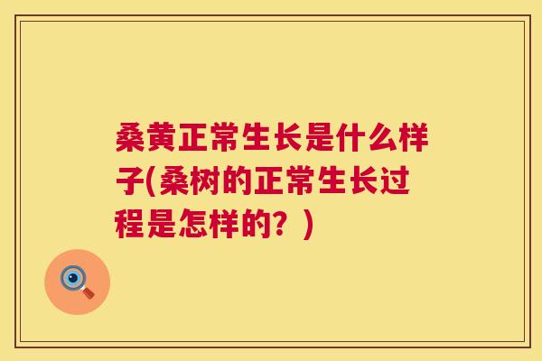 桑黄正常生长是什么样子(桑树的正常生长过程是怎样的？)