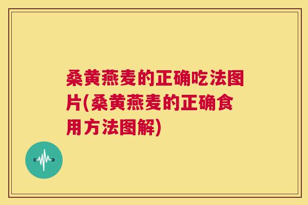 桑黄燕麦的正确吃法图片(桑黄燕麦的正确食用方法图解)