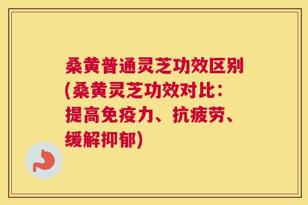 桑黄普通灵芝功效区别(桑黄灵芝功效对比：提高力、、缓解)