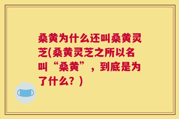桑黄为什么还叫桑黄灵芝(桑黄灵芝之所以名叫“桑黄”，到底是为了什么？)