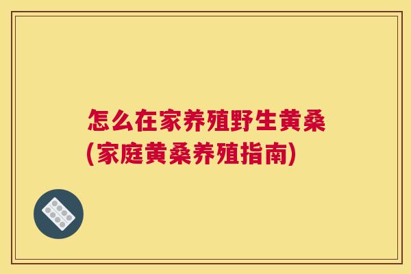 怎么在家养殖野生黄桑(家庭黄桑养殖指南)
