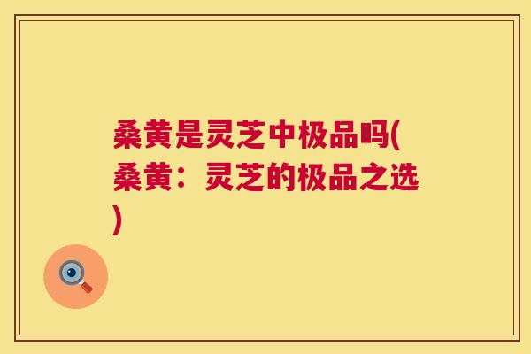 桑黄是灵芝中极品吗(桑黄：灵芝的极品之选)