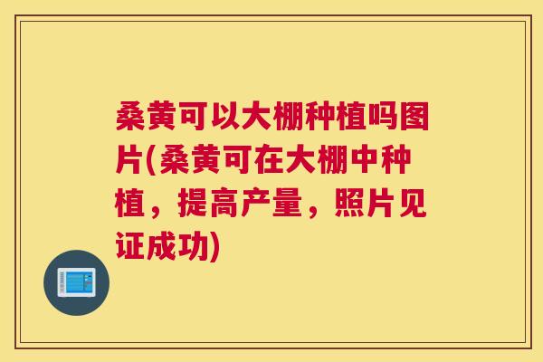 桑黄可以大棚种植吗图片(桑黄可在大棚中种植，提高产量，照片见证成功)