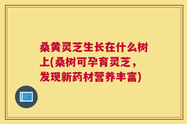 桑黄灵芝生长在什么树上(桑树可孕育灵芝，发现新药材营养丰富)