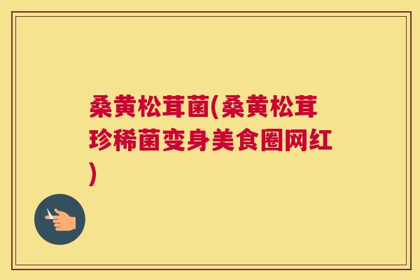 桑黄松茸菌(桑黄松茸珍稀菌变身美食圈网红)