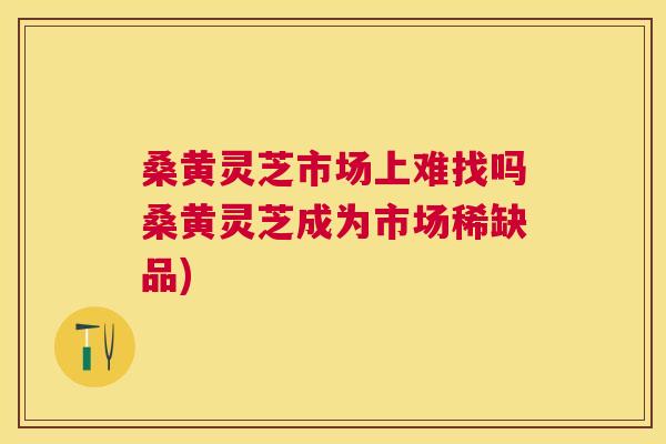 桑黄灵芝市场上难找吗桑黄灵芝成为市场稀缺品)