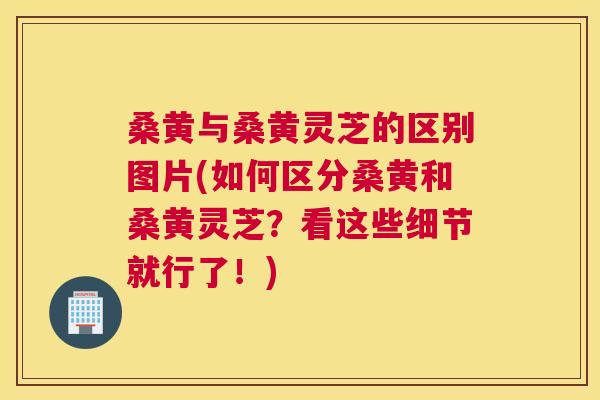 桑黄与桑黄灵芝的区别图片(如何区分桑黄和桑黄灵芝？看这些细节就行了！)