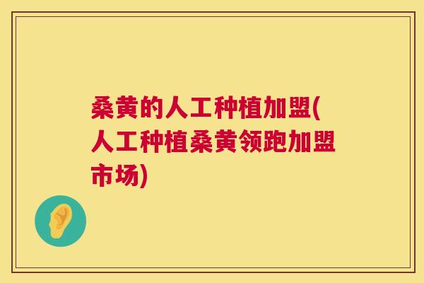 桑黄的人工种植加盟(人工种植桑黄领跑加盟市场)
