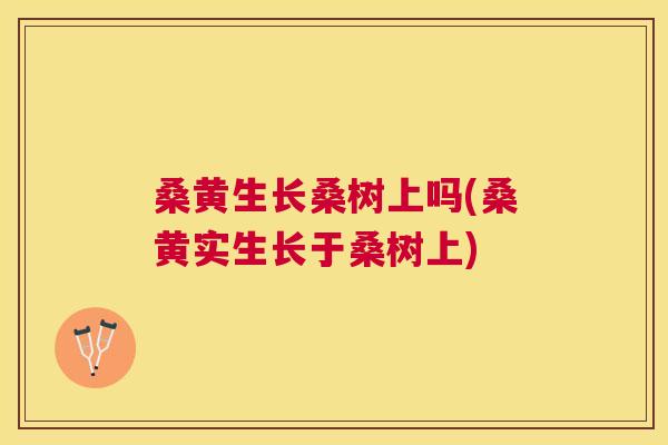 桑黄生长桑树上吗(桑黄实生长于桑树上)