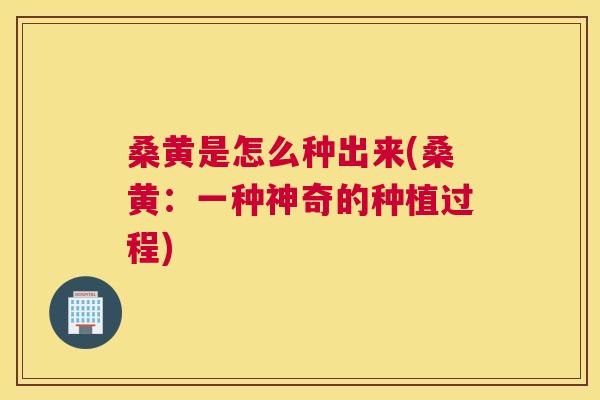 桑黄是怎么种出来(桑黄：一种神奇的种植过程)