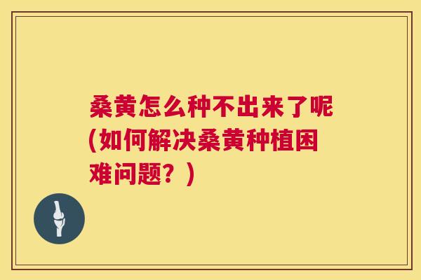 桑黄怎么种不出来了呢(如何解决桑黄种植困难问题？)
