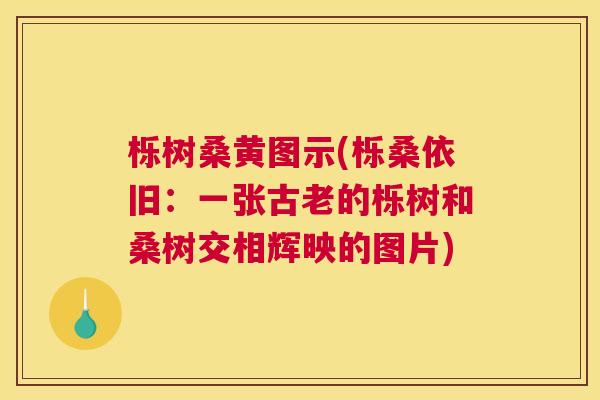 栎树桑黄图示(栎桑依旧：一张古老的栎树和桑树交相辉映的图片)