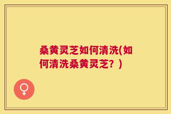桑黄灵芝如何清洗(如何清洗桑黄灵芝？)