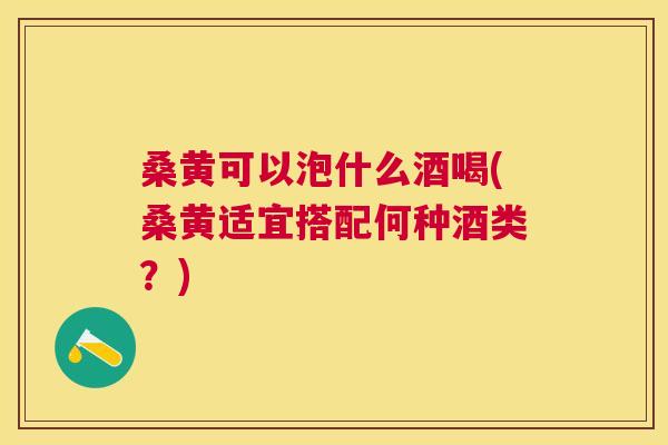 桑黄可以泡什么酒喝(桑黄适宜搭配何种酒类？)