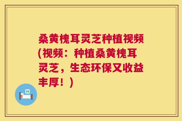 桑黄槐耳灵芝种植视频(视频：种植桑黄槐耳灵芝，生态环保又收益丰厚！)