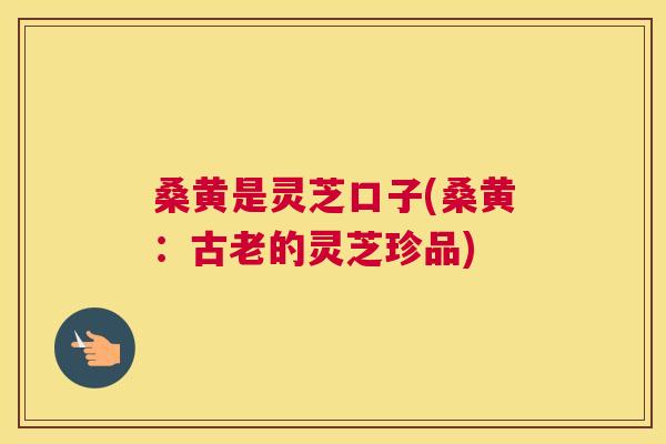 桑黄是灵芝口子(桑黄:古老的灵芝珍品) 桑黄是灵芝口子(桑黄:古老的灵芝珍品)