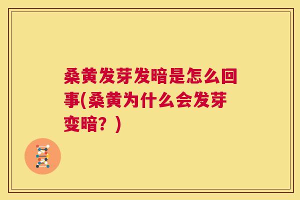 桑黄发芽发暗是怎么回事(桑黄为什么会发芽变暗?) 桑黄发芽发暗是怎么回事(桑黄为什么会发芽变暗?)