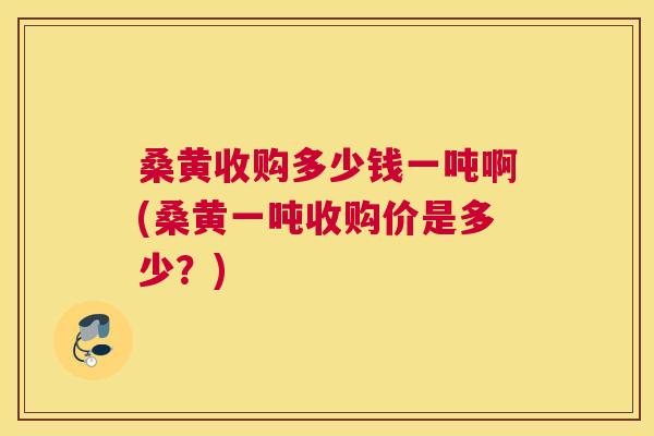桑黄收购多少钱一吨啊(桑黄一吨收购价是多少?) 桑黄收购多少钱一吨啊(桑黄一吨收购价是多少?)