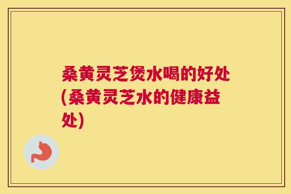 桑黄灵芝煲水喝的好处(桑黄灵芝水的健康益处) 桑黄灵芝煲水喝的好处(桑黄灵芝水的健康益处)
