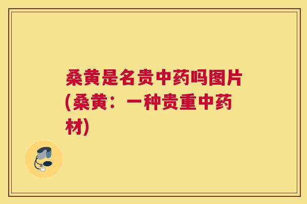 桑黄是名贵吗图片(桑黄：一种贵重材)