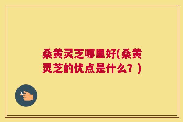 桑黄灵芝哪里好(桑黄灵芝的优点是什么？)
