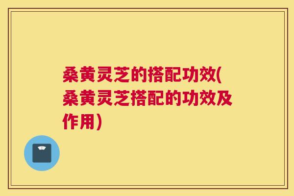桑黄灵芝的搭配功效(桑黄灵芝搭配的功效及作用)