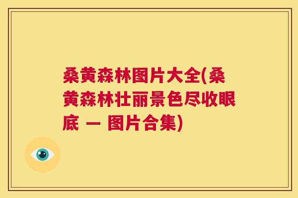 桑黄森林图片大全(桑黄森林壮丽景色尽收眼底 — 图片合集) 桑黄森林图片大全(桑黄森林壮丽景色尽收眼底 — 图片合集)