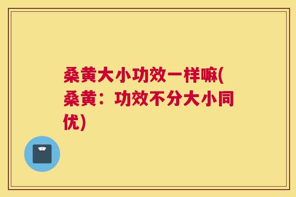 桑黄大小功效一样嘛(桑黄：功效不分大小同优)