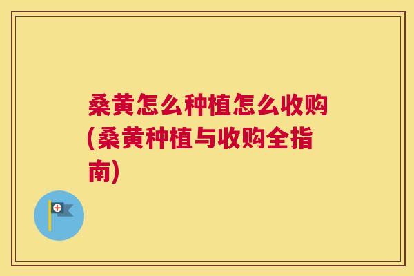 桑黄怎么种植怎么收购(桑黄种植与收购全指南)