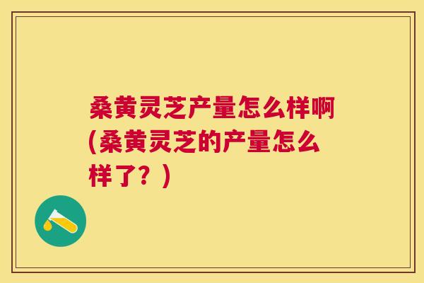 桑黄灵芝产量怎么样啊(桑黄灵芝的产量怎么样了?) 桑黄灵芝产量怎么样啊(桑黄灵芝的产量怎么样了?)