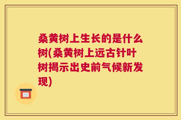 桑黄树上生长的是什么树(桑黄树上远古针叶树揭示出史前气候新发现)