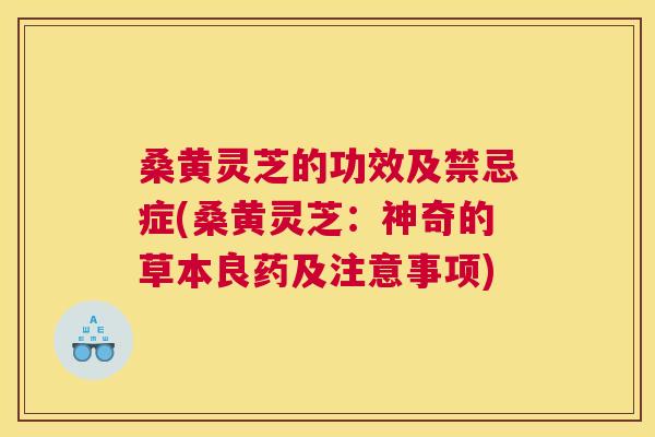 桑黄灵芝的功效及禁忌症(桑黄灵芝：神奇的草本良药及注意事项)