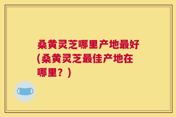 桑黄灵芝哪里产地好(桑黄灵芝佳产地在哪里？)