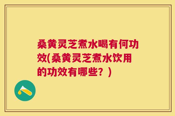 桑黄灵芝煮水喝有何功效(桑黄灵芝煮水饮用的功效有哪些？)