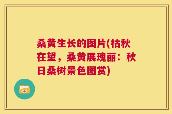 桑黄生长的图片(枯秋在望，桑黄展瑰丽：秋日桑树景色图赏)