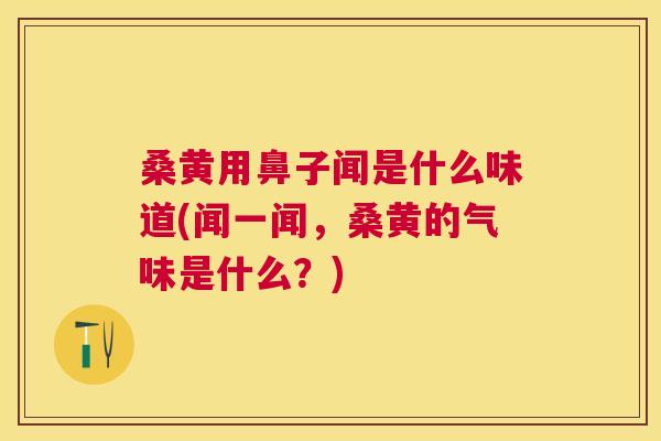 桑黄用鼻子闻是什么味道(闻一闻，桑黄的气味是什么？)