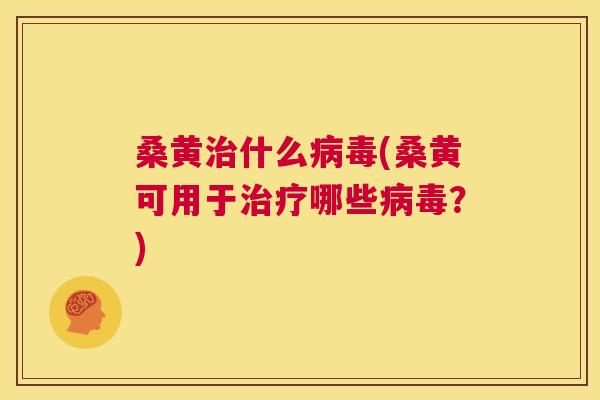 桑黄什么(桑黄可用于哪些？)