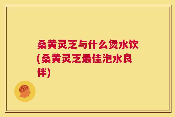 桑黄灵芝与什么煲水饮(桑黄灵芝佳泡水良伴)