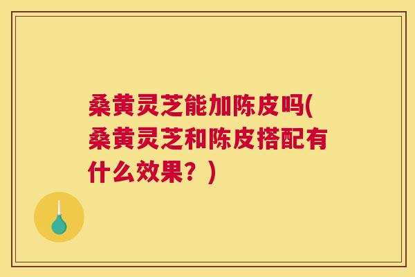 桑黄灵芝能加陈皮吗(桑黄灵芝和陈皮搭配有什么效果？)