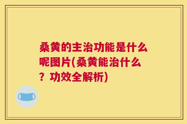 桑黄的主功能是什么呢图片(桑黄能什么?功效全解析) 桑黄的主功能是什么呢图片(桑黄能什么?功效全解析)