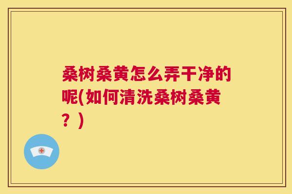桑树桑黄怎么弄干净的呢(如何清洗桑树桑黄?) 桑树桑黄怎么弄干净的呢(如何清洗桑树桑黄?)