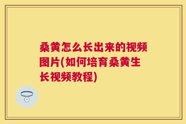 桑黄怎么长出来的视频图片(如何培育桑黄生长视频教程)